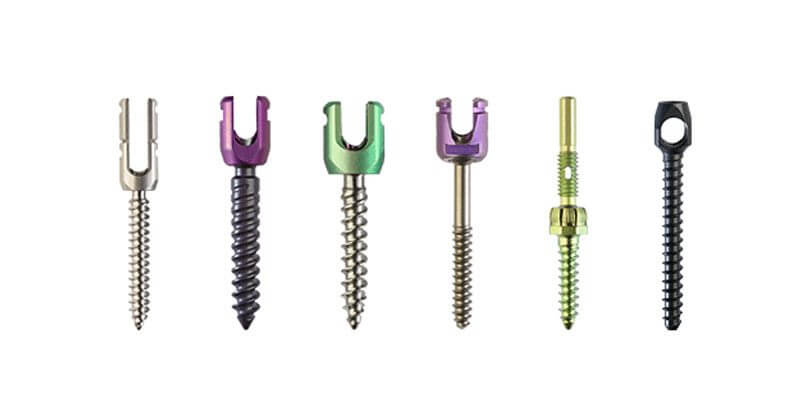 spine-2